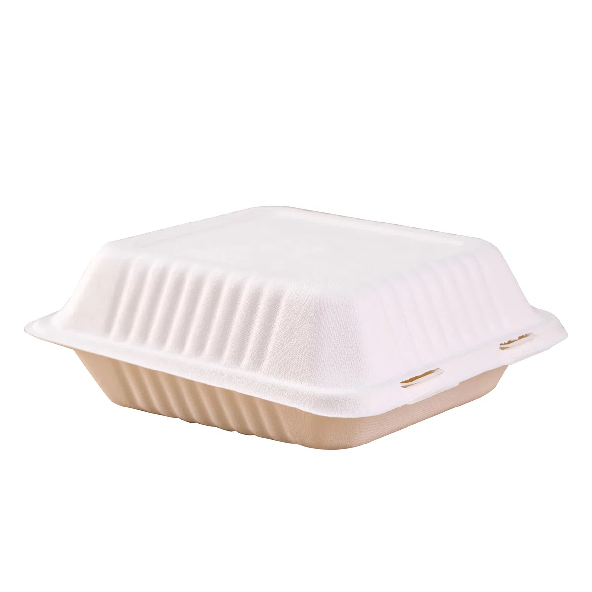 Umweltfreundliche Einwegbehälter zum Herausnehmen von Lebensmitteln, 22,9 x 22,9 cm, Deli-Behälter mit Deckel, wiederverwendbare Mahlzeiten-Vorbereitung und Bento-Box, Lebensmittelaufbewahrung
